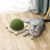UAMLY Griffoir pour chat en forme de tortue