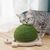 UAMLY Griffoir pour chat en forme de tortue
