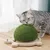UAMLY Griffoir pour chat en forme de tortue