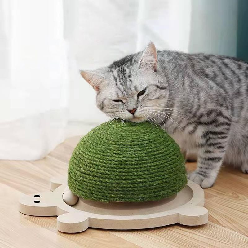 UAMLY Griffoir pour chat en forme de tortue