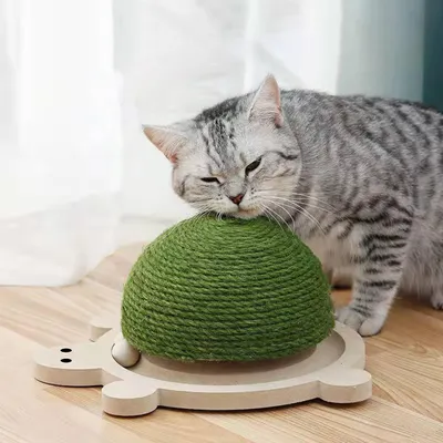 UAMLY Griffoir pour chat en forme de tortue
