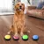 UAMLY Bouton de communication pour animaux de compagnie