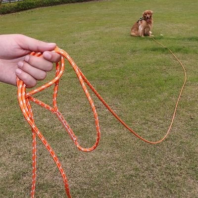 UAMLY Laisse flottante longue pour dressage de chien