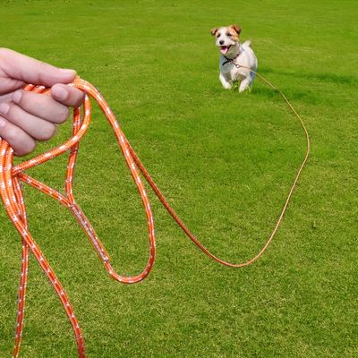 UAMLY Laisse flottante longue pour dressage de chien