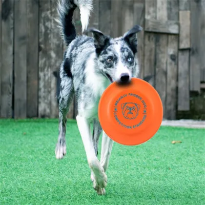 IntiMeg Frisbee résistant pour chien