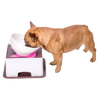 IntiMeg Table d'alimentation réglable pour chiens