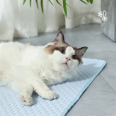 IntiMeg Matelas de refroidissement pour chiens et chats