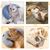 IntiMeg Jouet apaisant en forme de U pour petits animaux de compagnie