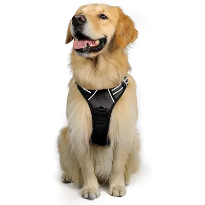 IntiMeg Harnais anti - traction pour chien