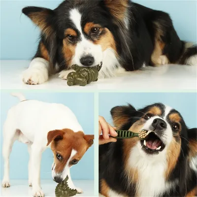 IntiMeg Bâtonnet de nettoyage des dents pour chien