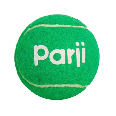 IntiMeg Lot de balles de tennis pour chien