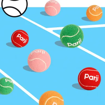 IntiMeg Lot de balles de tennis pour chien