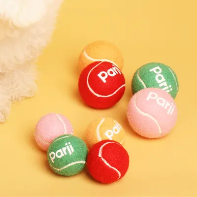 IntiMeg Lot de balles de tennis pour chien