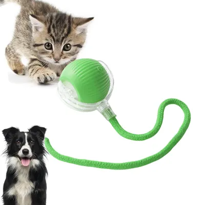 IntiMeg Balle interactive avec corde pour chat