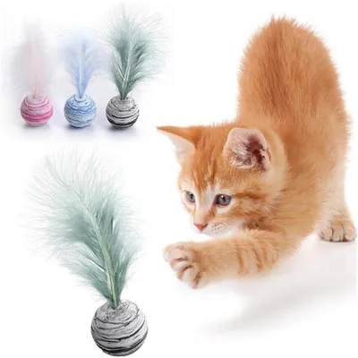 IntiMeg 3PCS Jouet Balle à plumes pour chat