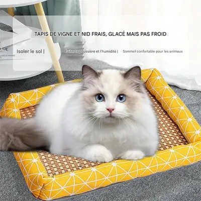 IntiMeg Lit pour chat cool