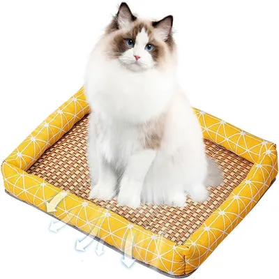 IntiMeg Lit pour chat cool