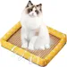 IntiMeg Cool Cat Bed