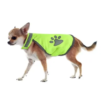 IntiMeg Reflektierende Sicherheitsweste für Hunde IntiMeg Reflektierende Sicherheitsweste für Hunde