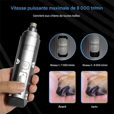 IntiMeg Meuleuse électrique pour griffes de chien et de chat
