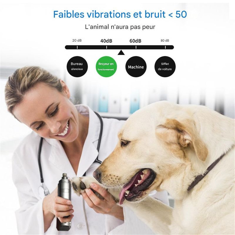 IntiMeg Meuleuse électrique pour griffes de chien et de chat
