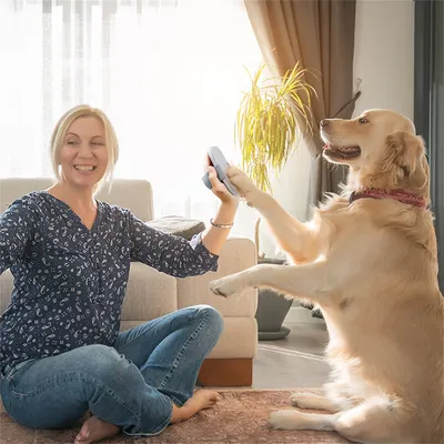 IntiMeg Lime pour ongles de chien