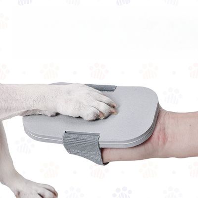 IntiMeg Lime pour ongles de chien