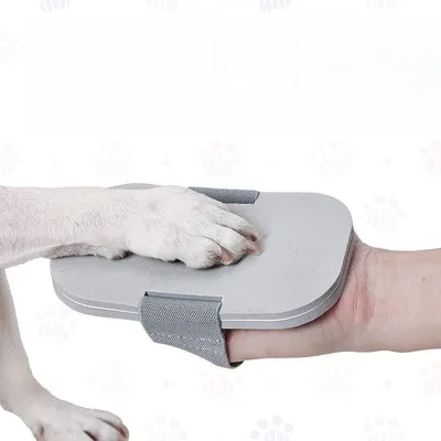 IntiMeg Lime pour ongles de chien