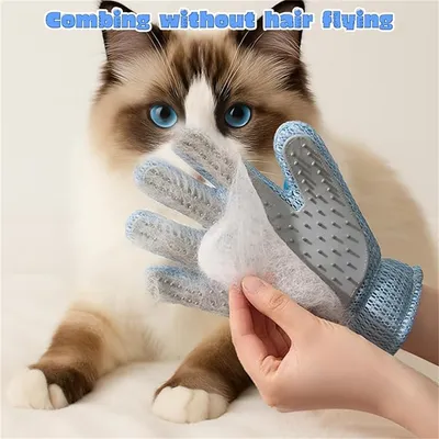 IntiMeg Gant de toilettage 2 en 1 pour chats et chiens