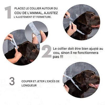 IntiMeg Floh- und Mückenschutzhalsband für Hunde