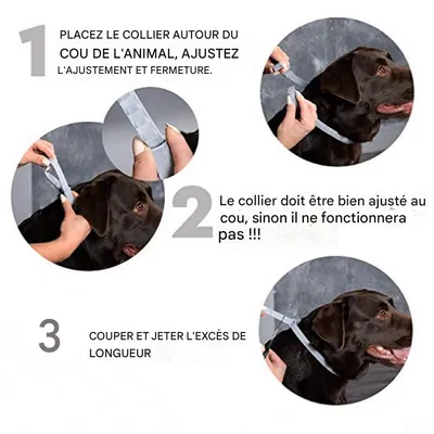 IntiMeg Collier antipuces et anti-moustiques pour chien