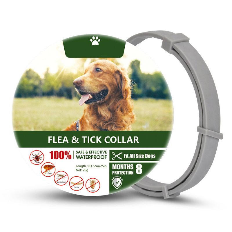 IntiMeg Floh- und Mückenschutzhalsband für Hunde