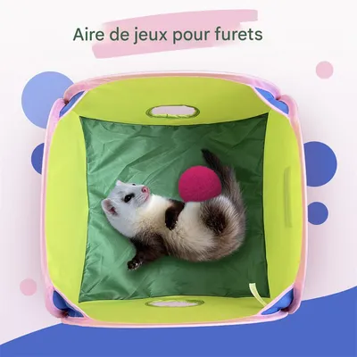 IntiMeg Tunnel pliable pour petits animaux