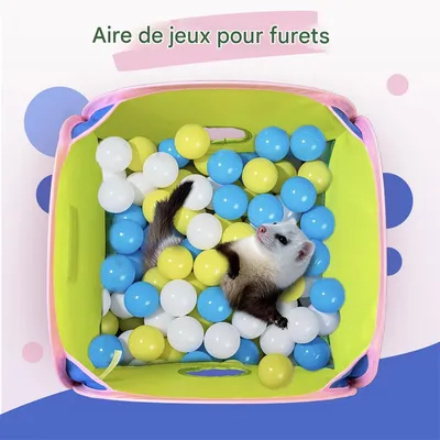 IntiMeg Tunnel pliable pour petits animaux