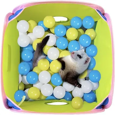 IntiMeg Tunnel pliable pour petits animaux IntiMeg Tunnel pliable pour petits animaux