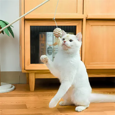 IntiMeg Canne à pêche à plumes pour chat avec des boules de sisal