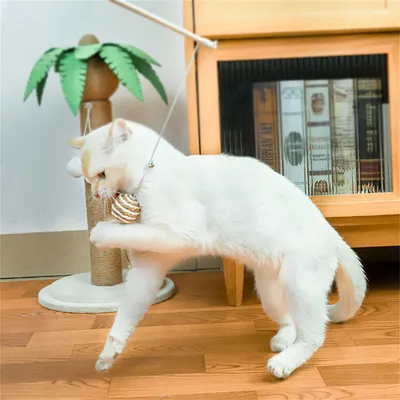 IntiMeg Canne à pêche à plumes pour chat avec des boules de sisal