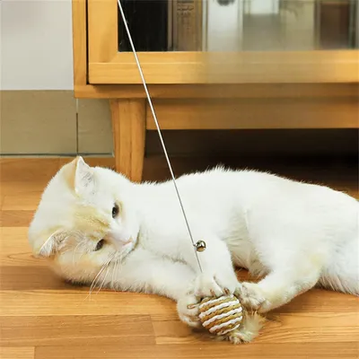 IntiMeg Canne à pêche à plumes pour chat avec des boules de sisal