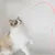 IntiMeg 82cm Canne à pêche teaser en forme de queue de souris pour chat