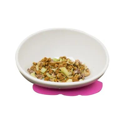 IntiMeg Bol en céramique pour chiens