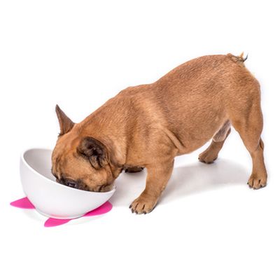 IntiMeg Bol en céramique pour chiens