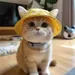 IntiMeg Chapeau de soleil pour chiens et chats