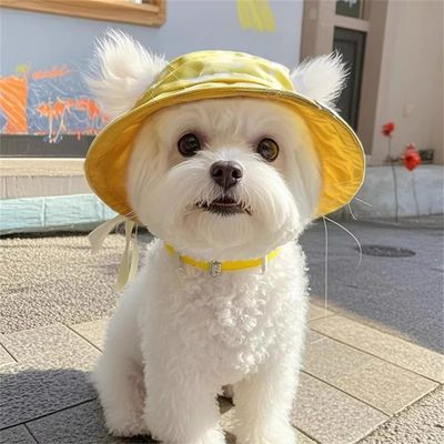 IntiMeg Chapeau de soleil pour chiens et chats