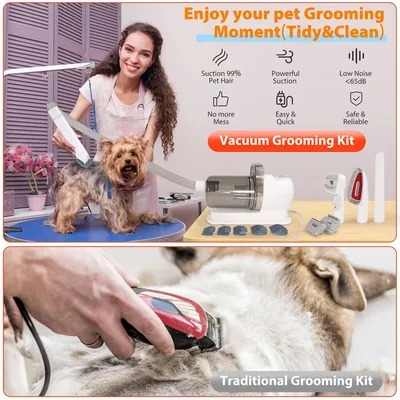 IntiMeg Kit d'aspirateur de toilettage pour chiens IntiMeg Kit d'aspirateur de toilettage pour chiens