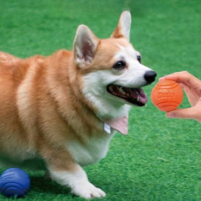 IntiMeg pelota masticable para perros