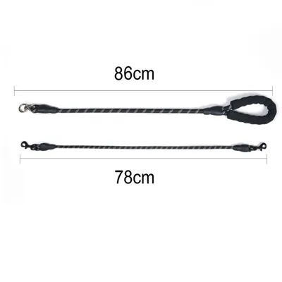 IntiMeg Laisse en nylon réfléchissant pour chien