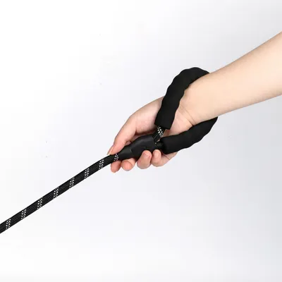 IntiMeg Laisse en nylon réfléchissant pour chien