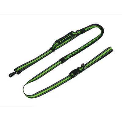 IntiMeg Laisse de dressage pour chien