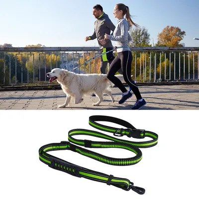 IntiMeg Laisse de dressage pour chien