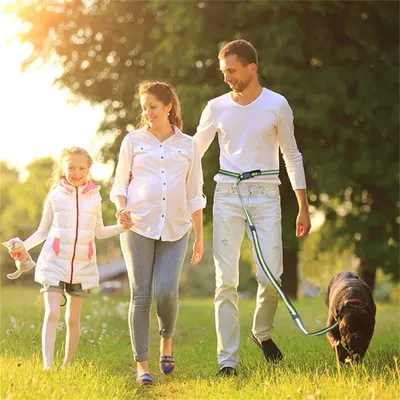 IntiMeg Laisse de dressage pour chien